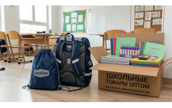 Канцтовары для 2–4 классов: полный список для школы
