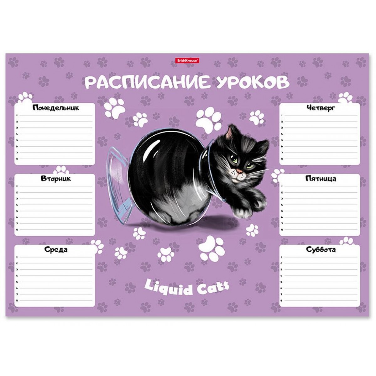 Расписание уроков ErichKrause Жидкие коты, А3