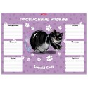 Расписание уроков ErichKrause Жидкие коты, А3