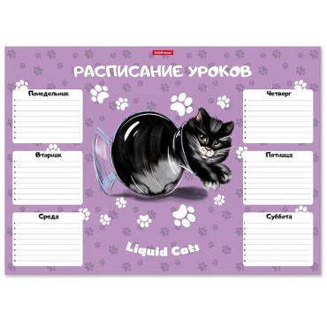 Расписание уроков ErichKrause Жидкие коты, А3