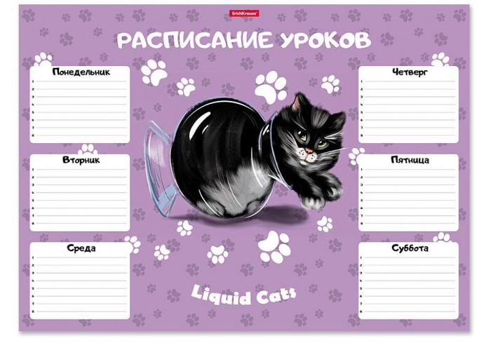 Расписание уроков ErichKrause Жидкие коты, А3