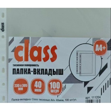 Папка-вкладыш (файлы) Class тисненые А4+, 40мкм, 100шт/уп.