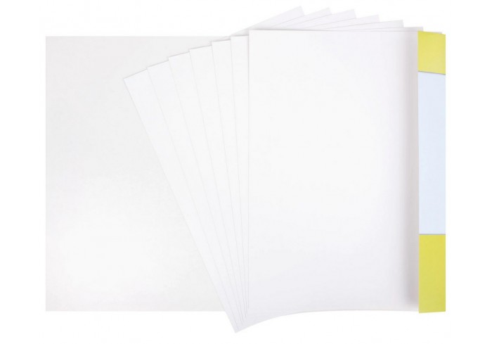 Картон белый А4 МЕЛОВАННЫЙ (белый оборот), 7 листов, в папке, ЮНЛАНДИЯ, 200х290 мм, ТИГРАША