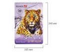 Скетчбук, белая бумага 180 г/м2, 165х240 мм, 20 л., гребень, твердая обложка, BRAUBERG ART CLASSIC