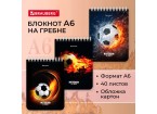 Блокнот МАЛЫЙ ФОРМАТ А6, 108х145 мм, 40 л., гребень, картон, клетка, BRAUBERG, 