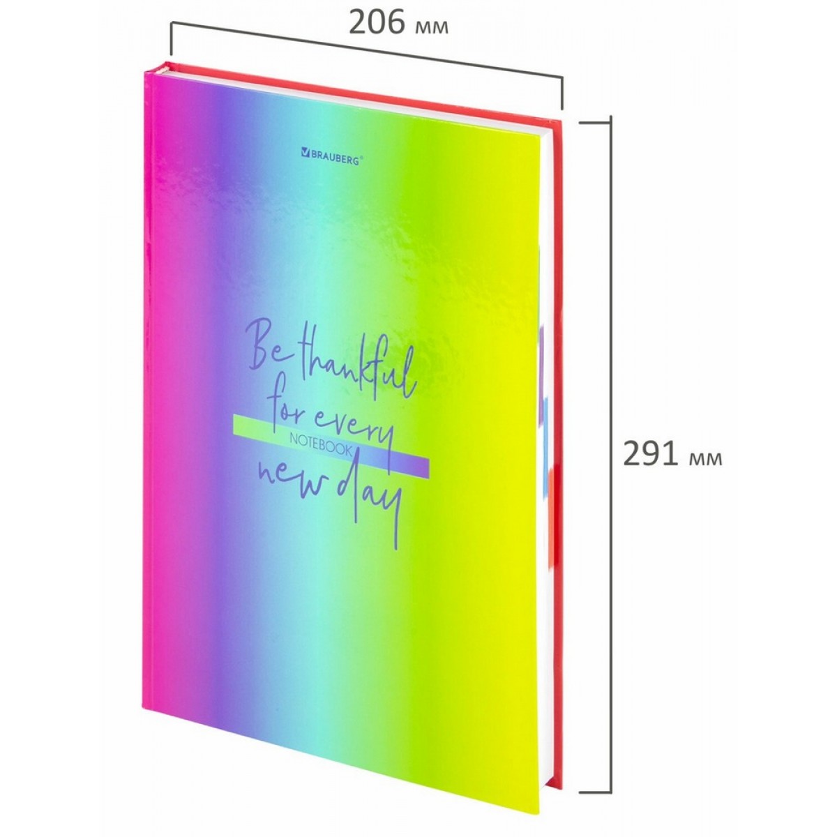Блокнот (книга учета) (206х291 мм) А4, 160 л., твёрдый, блок 5 цветов, клетка, BRAUBERG, 