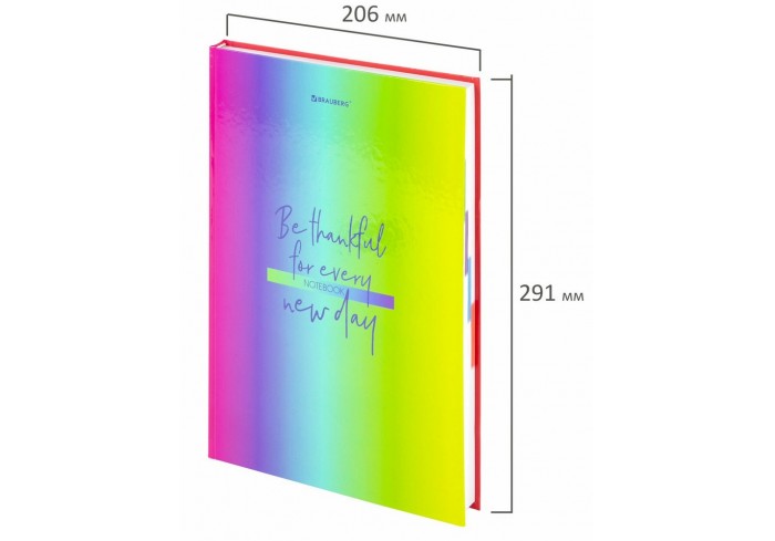 Блокнот (книга учета) (206х291 мм) А4, 160 л., твёрдый, блок 5 цветов, клетка, BRAUBERG, 