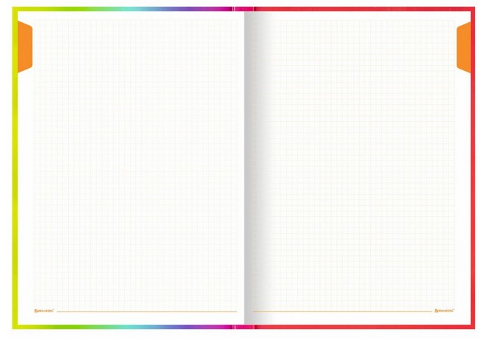 Блокнот (книга учета) (206х291 мм) А4, 160 л., твёрдый, блок 5 цветов, клетка, BRAUBERG, 