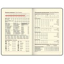 Ежедневник недатированный МАЛЫЙ ФОРМАТ 100x150 мм А6 BRAUBERG 