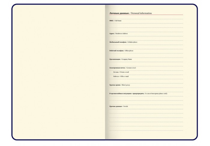 Ежедневник недатированный А5 138x213 мм, BRAUBERG 