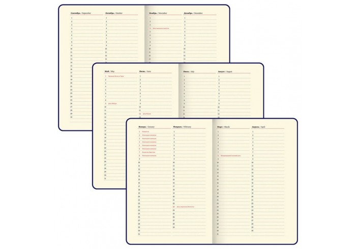 Ежедневник недатированный, А5, 143х210 мм, BRAUBERG 