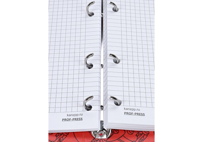 Тетрадь клетка А5 120л. ЭКСТРЕМАЛЬНЫЙ СПОРТ - 2, на кольцах, с перфорац, интегр. Обложка 4+4 мат. ла