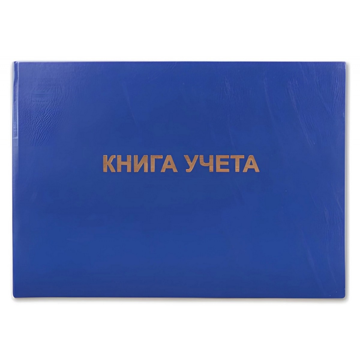 Книга учета 96 л., клетка, твердая, бумвинил, блок офсет, альбомный, А4 (210х295 мм), BRAUBERG