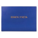 Книга учета 96 л., клетка, твердая, бумвинил, блок офсет, альбомный, А4 (210х295 мм), BRAUBERG