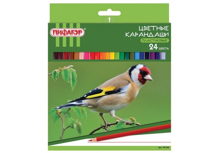 Карандаши цветные 24 цвета, пластиковые, классические заточенные, ПИФАГОР 