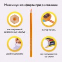 Карандаши цветные BRAUBERG PREMIUM, 36 цветов, шестигранные, грифель 3,3 мм, натуральное дерево,