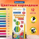 Карандаши цветные пластиковые BRAUBERG PREMIUM, 12 цветов, шестигранные, грифель 3 мм,