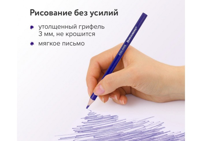 Карандаши цветные пластиковые BRAUBERG PREMIUM, 12 цветов, шестигранные, грифель 3 мм,