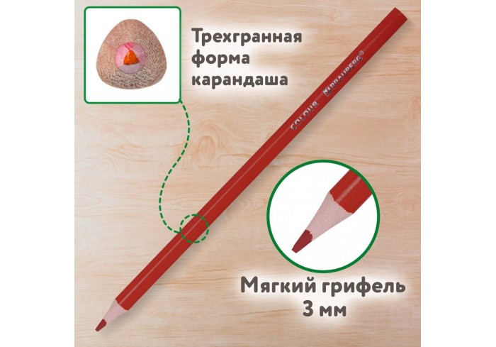 Карандаши цветные BRAUBERG KIDS NEW, 24 цвета, трехгранные, грифель 3 мм