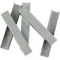 Скобы для степлера 23/8 Silwerhof Daily оцинкованные кор.карт. (упак.:1000шт.) 421013