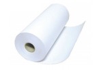Рулоны для принтера 210*25*100 Каменногорка
