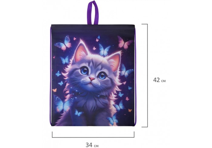 Мешок для обуви BRAUBERG KIDS, с петлей, 42х34 см, 