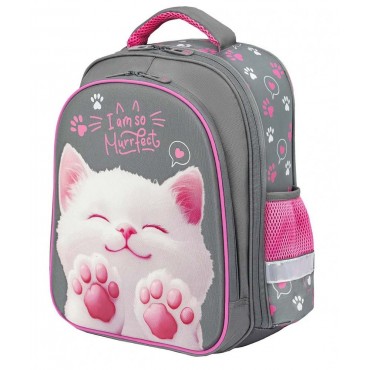 Ранец BRAUBERG KIDS STANDARD, 2 отделения, 