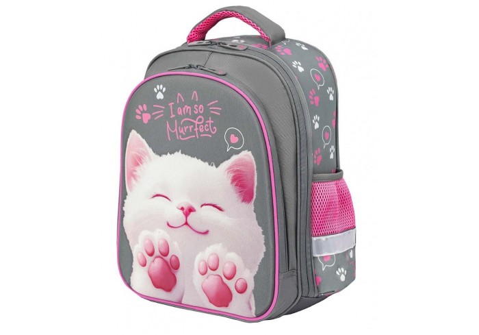 Ранец BRAUBERG KIDS STANDARD, 2 отделения, 