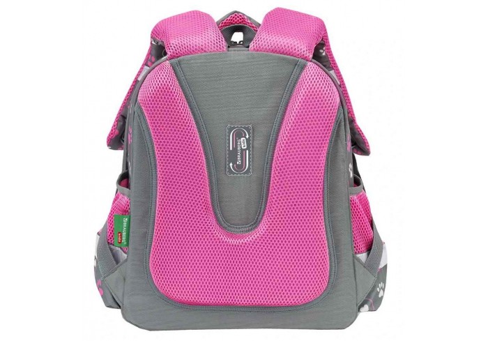 Ранец BRAUBERG KIDS STANDARD, 2 отделения, 