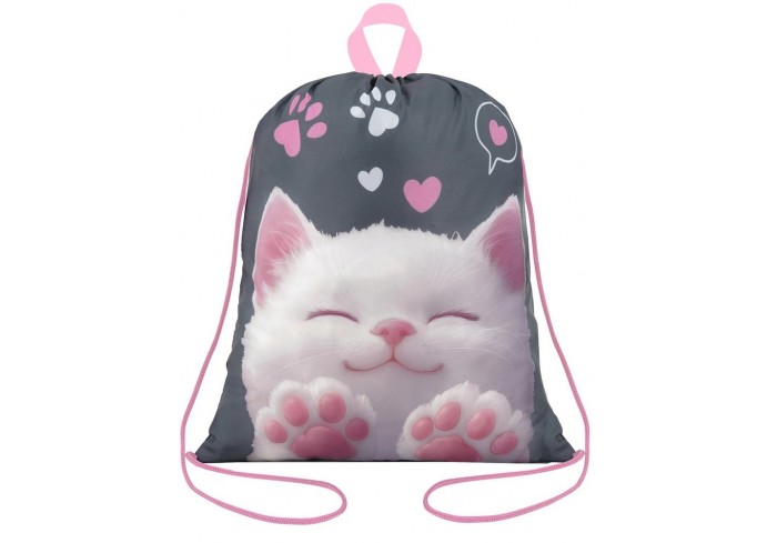 Мешок для обуви BRAUBERG KIDS, с петлей, 42х34 см, 