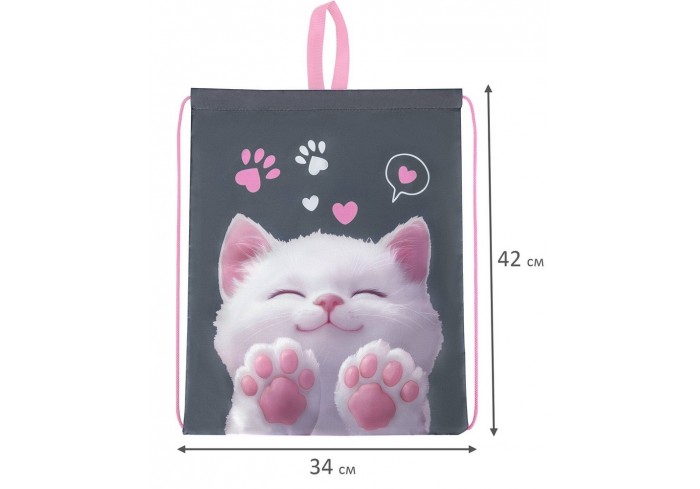 Мешок для обуви BRAUBERG KIDS, с петлей, 42х34 см, 