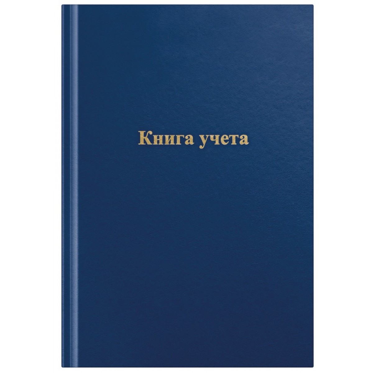 Книга учета OfficeSpace, А4, 192л., клетка, 200*290мм, бумвинил, синий, блок газетный
