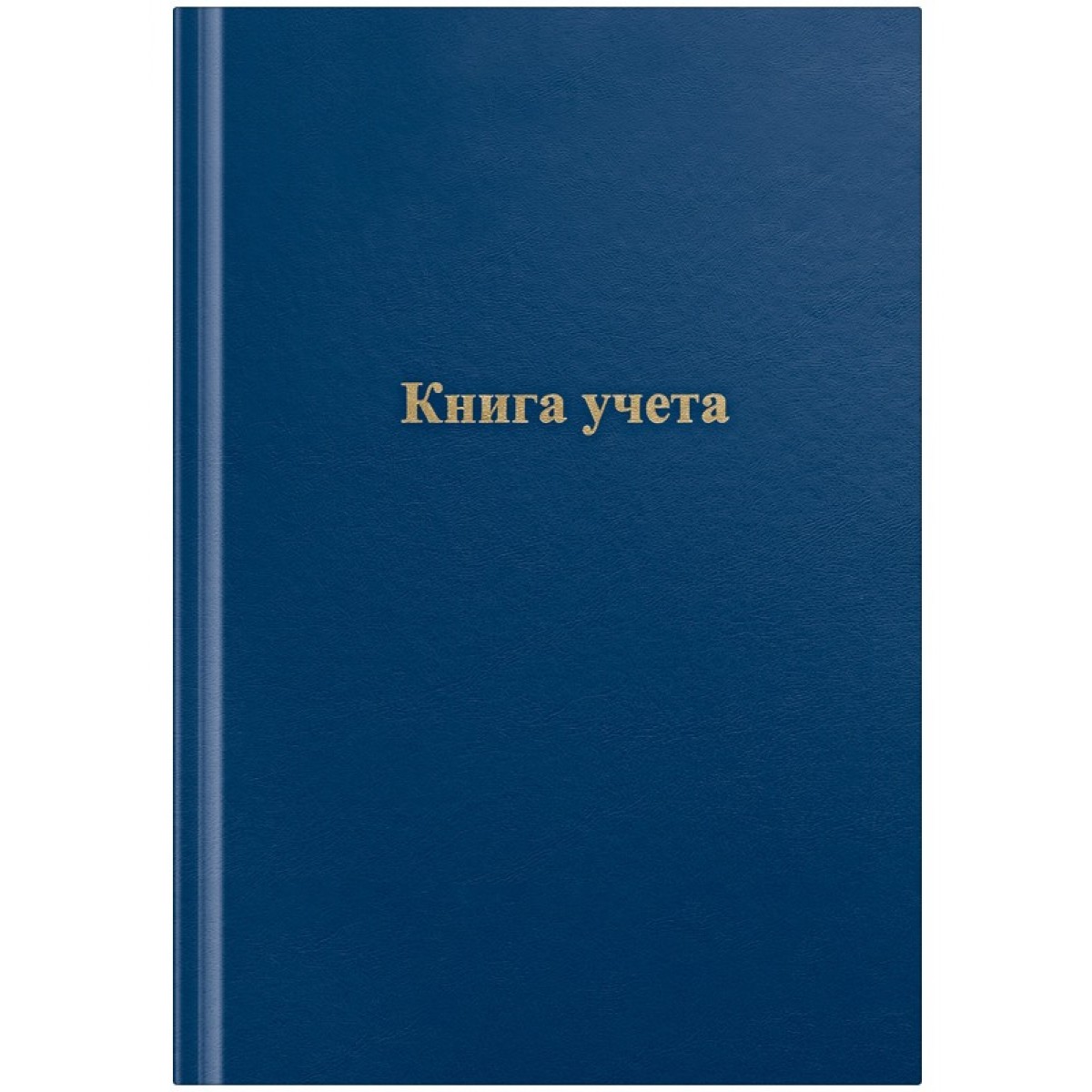 Книга учета OfficeSpace, А4, 96л., клетка, 200*290мм, бумвинил, цвет синий, блок офсетный, клетка с