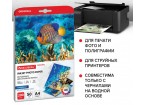 Фотобумага глянцевая, А4, 200 г/м2, односторонняя, 50 листов, BRAUBERG ORIGINAL, 363988