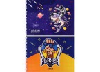 Альбом для рисования А4 40л. ИГРЫ И ФАНТАСТИКА МИКС 2 диз. гребень, офсет