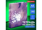 Тетрадь на кольцах А5 (165х215 мм), 160 листов, твердый картон, клетка, BRAUBERG, Мечты,
