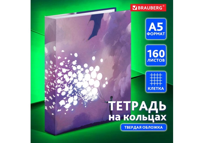 Тетрадь на кольцах А5 (165х215 мм), 160 листов, твердый картон, клетка, BRAUBERG, Мечты,