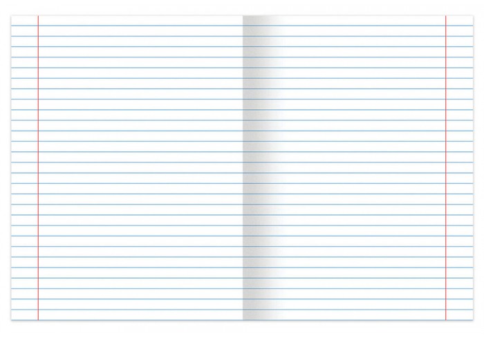 Тетрадь А5 48 л. BRAUBERG скоба, ЛИНИЯ, обложка картон, 