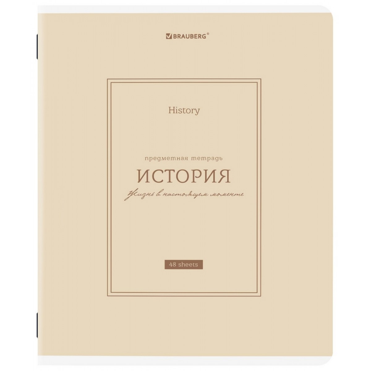 Тетрадь предметная CLASSIC 48 л., рельефный картон, матовая ламинация, ИСТОРИЯ, клетка, подсказки