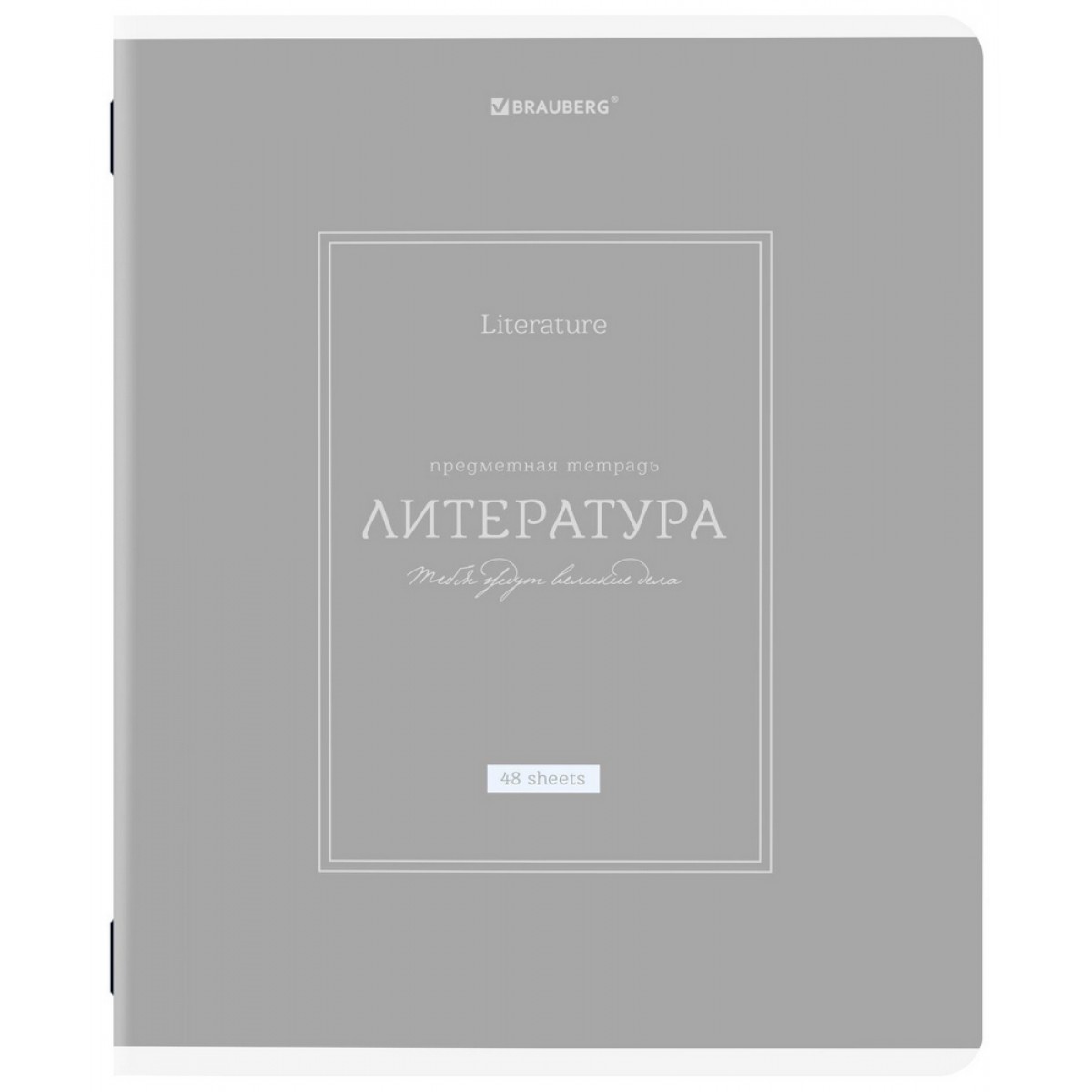 Тетрадь предметная CLASSIC 48 л., рельефный картон, матовая ламинация, ЛИТЕРАТУРА, линия, подсказки,