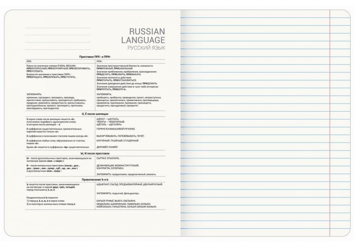 Тетрадь предметная CLASSIC 48 л, рельефный картон, матовая ламинация, РУССКИЙ ЯЗЫК, линия, подсказки