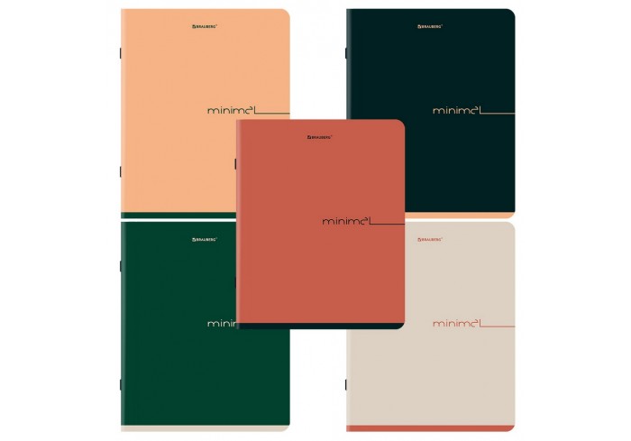 Тетрадь А5, 48 л., BRAUBERG, скоба, клетка, SoftTouch, 