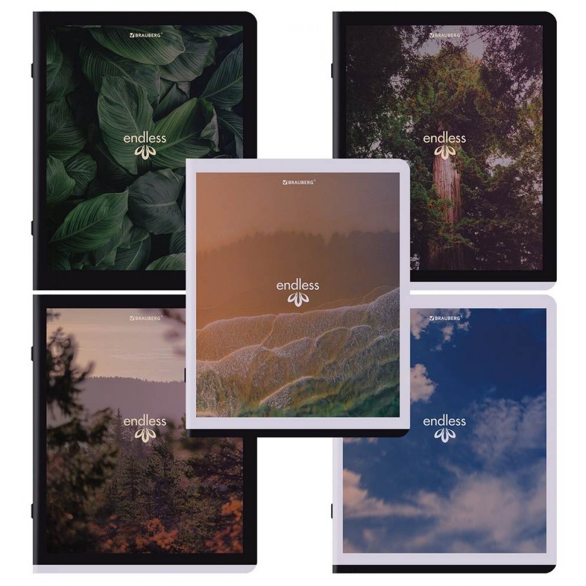 Тетрадь А5, 48 л., BRAUBERG, скоба, клетка, матовая ламинация, 