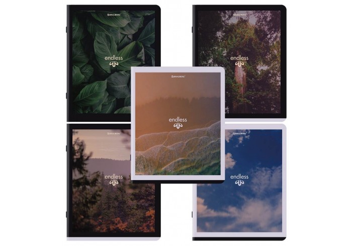 Тетрадь А5, 48 л., BRAUBERG, скоба, клетка, матовая ламинация, 