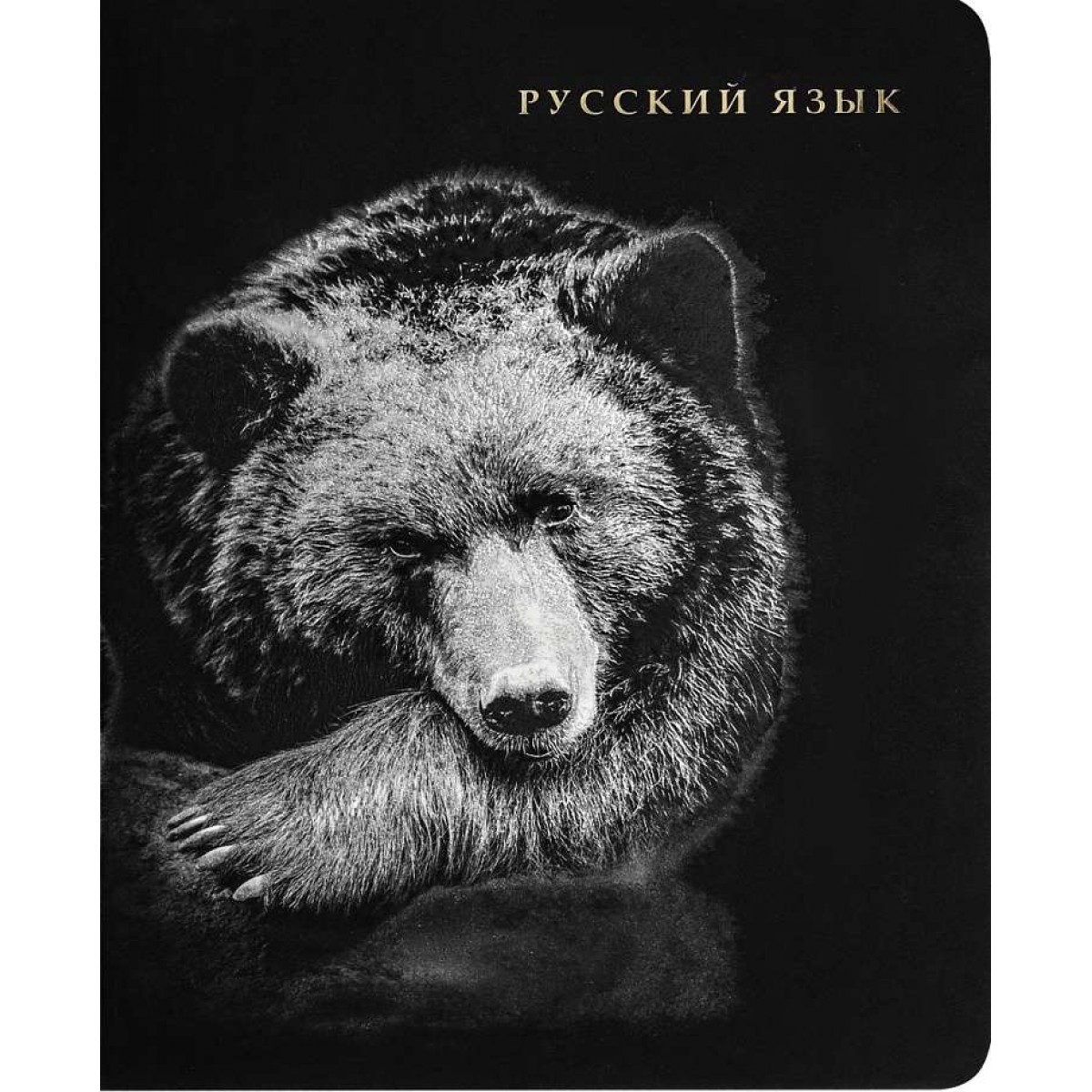 Тетрадь ЛИНИЯ 48л. РУССКИЙ ЯЗЫК «BLACKSOFT» хол.ф,софт-тач,выб.лак,тисн.ф