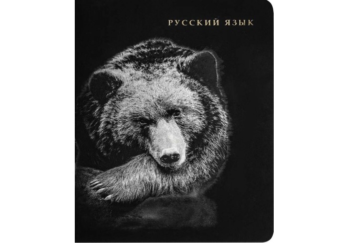 Тетрадь ЛИНИЯ 48л. РУССКИЙ ЯЗЫК «BLACKSOFT» хол.ф,софт-тач,выб.лак,тисн.ф
