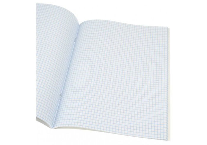 Тетрадь А4 клетка 48л. АРХИТЕКТУРА И ПРИРОДА, цвет.мелов.обл, внутренний блок-серый