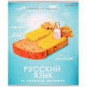 Тетрадь ЛИНИЯ А5 48л. РУССКИЙ ЯЗЫК