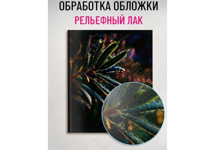 Тетрадь КЛЕТКА 48л. КРАСИВАЯ ПРИРОДА-5, клетка, на скрепке, твин-лак, цвет.мелов.обл., 5 дизайнов