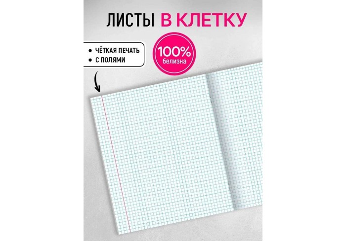 Тетрадь КЛЕТКА 48л. КРАСИВАЯ ПРИРОДА-5, клетка, на скрепке, твин-лак, цвет.мелов.обл., 5 дизайнов